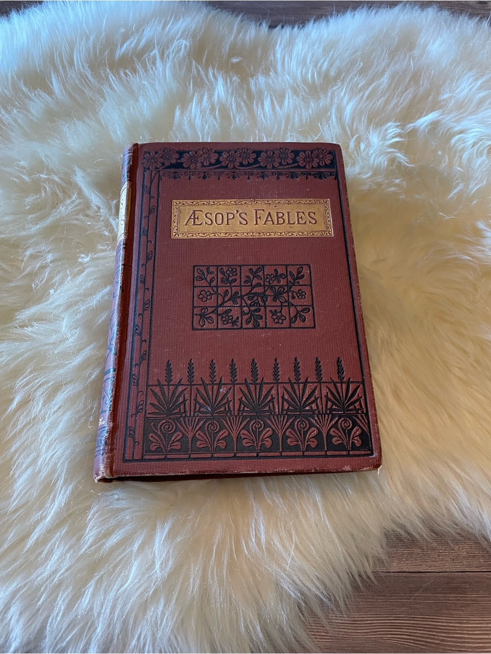 1st Editions The Fables of Aesop ~ 1882 and 1975 - Picture 9 of 11